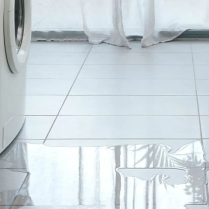Appliance Leak Cleanup in Waller County, TX