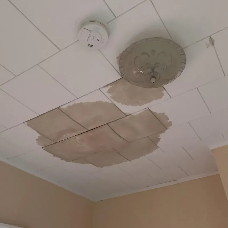 Ceiling Water Damage Repair in Waller County, TX